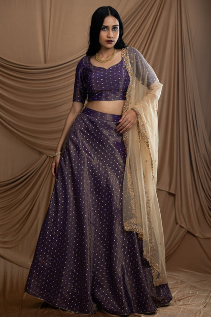 Elegant Purple Brocade Tissue Skirt with Intricate Bootas